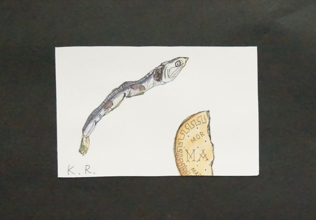身近なものを描く成功したにぼしと失敗したビスケット